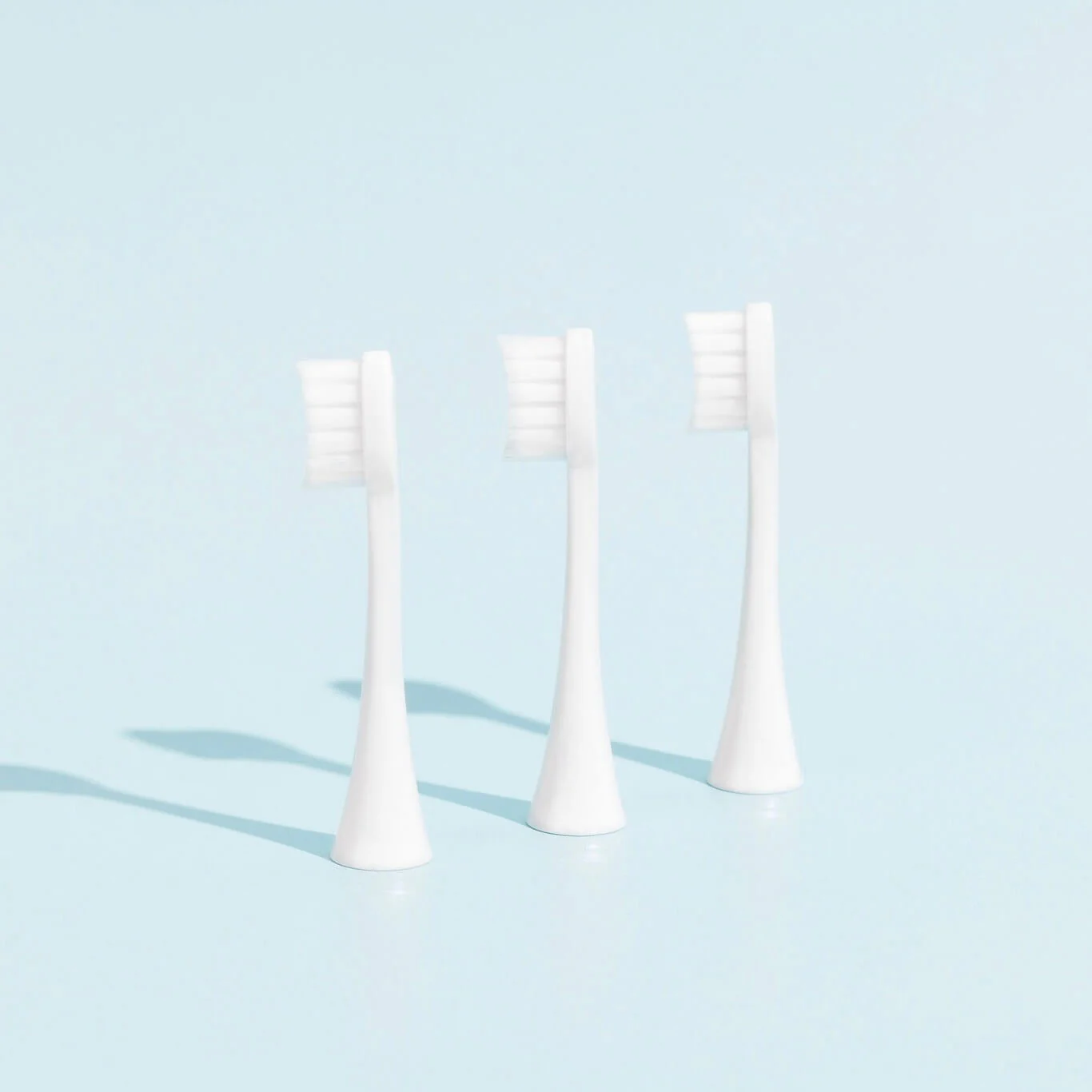 Pack 3 Têtes de Brosse - Image 4